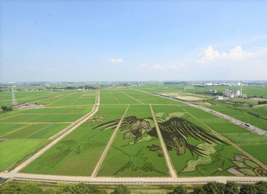 渋沢栄一ゆかりの地と田んぼアート 日帰りバスの旅